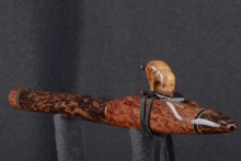Southeast Asian Rosewood Burl Native American Flute, Minor, Mid G-4, #T7K (6)